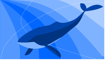 Illustration von einem Blauen Wal
