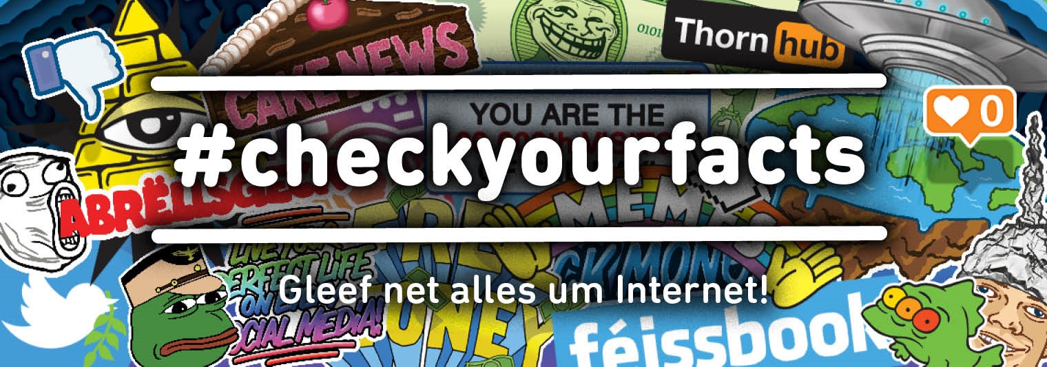 Farbenfrohe Illustration der BEE SECURE-Kampagne #checkyourfacts zur Desinformation